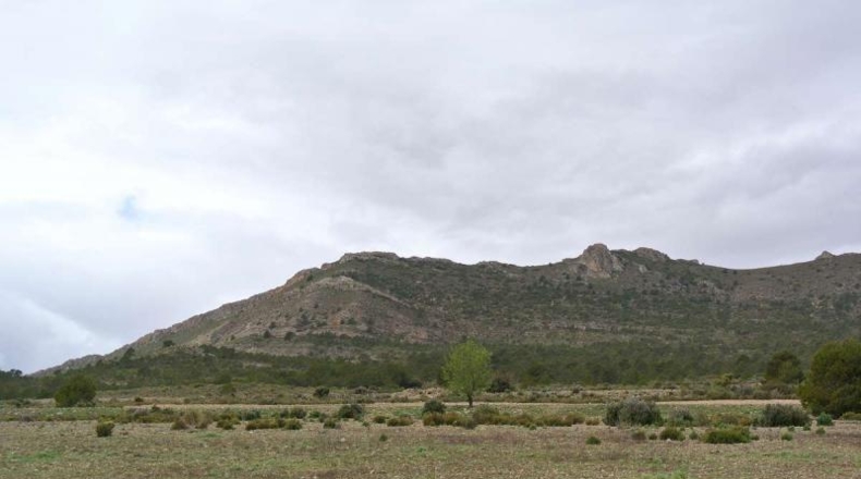 Valencia - Valencia - 5950000m2