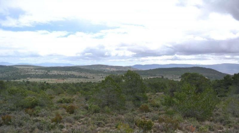 Valencia - Valencia - 5950000m2