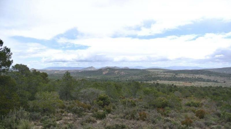 Valencia - Valencia - 5950000m2