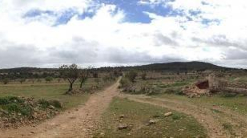 Valencia - Valencia - 5950000m2