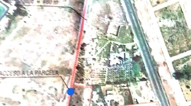 Alicante - Rojales - 55000m2