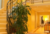 Chalet independiente con terreno en venta en la España, Inca, ref: TR155804 foto