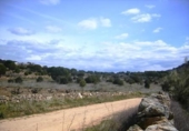 Land suitable for development for sale on España, Cebreros, ref: TR112886 photo