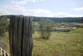 Cebreros 95000&nbsp;m² 