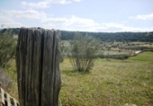 Land suitable for development for sale on España, Cebreros, ref: TR112886 photo