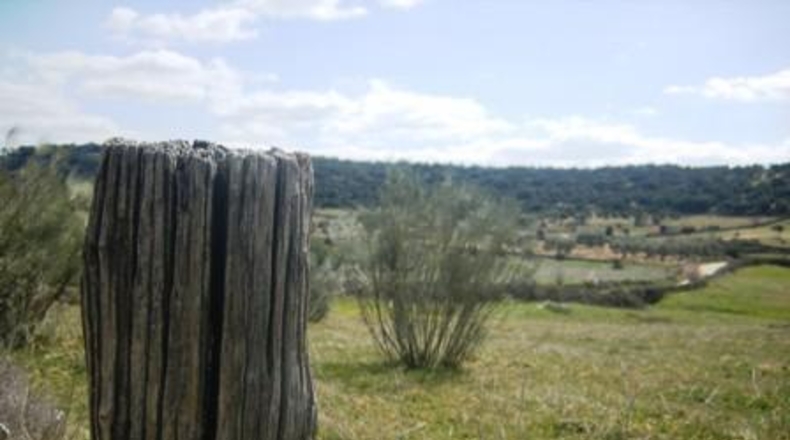Ávila - Cebreros - 95000m2