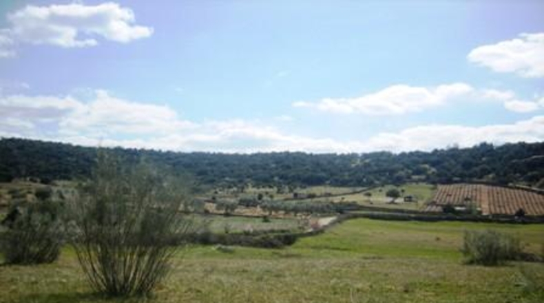 Ávila - Cebreros - 95000m2