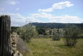 Cebreros 95000&nbsp;m² 