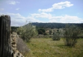 Land suitable for development for sale on España, Cebreros, ref: TR112886 photo