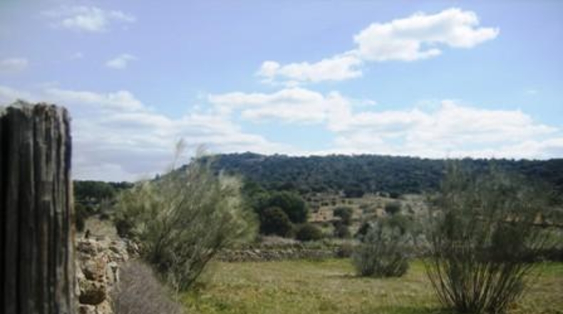 Ávila - Cebreros - 95000m2