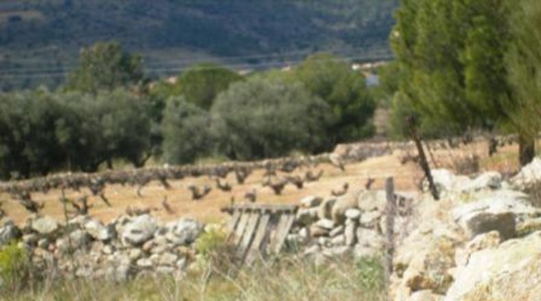 Ávila - Cebreros - 95000m2