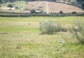 Land suitable for development for sale on España, Cebreros, ref: TR112886 photo