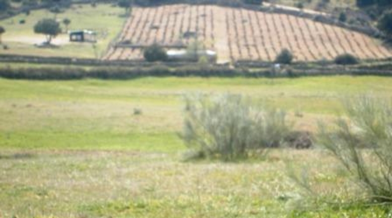 Ávila - Cebreros - 95000m2
