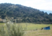 Land suitable for development for sale on España, Cebreros, ref: TR112886 photo
