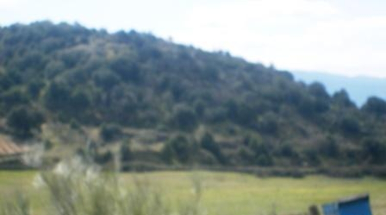 Ávila - Cebreros - 95000m2