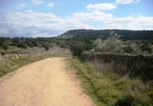 Land suitable for development for sale on España, Cebreros, ref: TR112886 photo