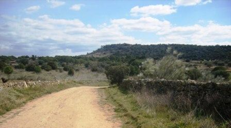 Ávila - Cebreros - 95000m2