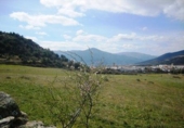 Land suitable for development for sale on España, Cebreros, ref: TR112886 photo