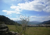 Land suitable for development for sale on España, Cebreros, ref: TR112886 photo