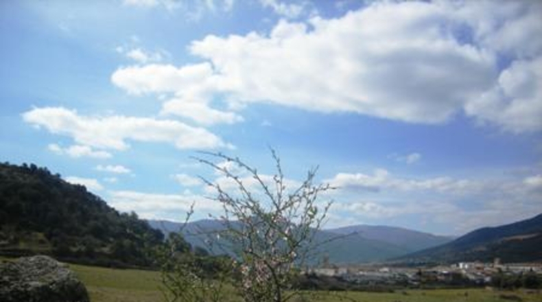 Ávila - Cebreros - 95000m2