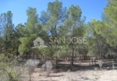 Chalet independiente con terreno en venta en la España, Monóvar, ref: TR133619 foto