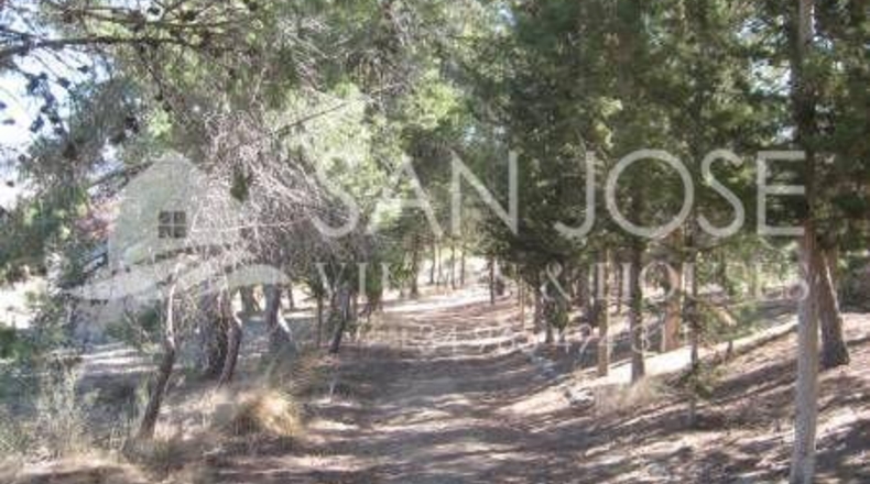 Alicante - Monóvar - 2000000m2