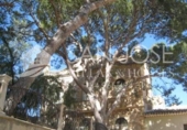 Chalet independiente con terreno en venta en la España, Monóvar, ref: TR133619 foto