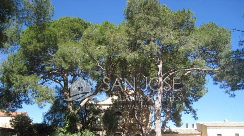 Alicante - Monóvar - 2000000m2