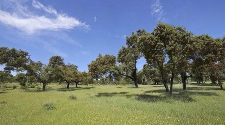 Badajoz - Вальверде-де-Льерана - 5200000m2