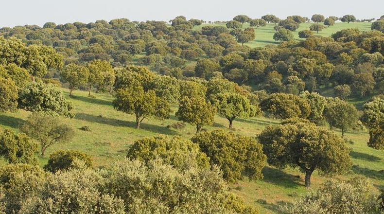 Badajoz - Вальверде-де-Льерана - 5200000m2
