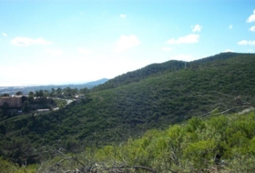 Ibiza 800&nbsp;m²