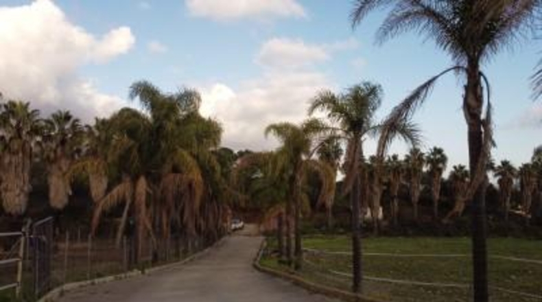 Málaga - Mijas - 73135m2