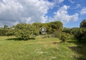 Urban land for sale on España, Sitges, ref: TR345906 photo