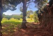 Urban land for sale on España, Sitges, ref: TR345906 photo