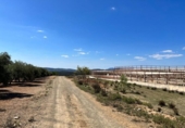 Land suitable for development for sale on España, Loja, ref: TR178094 photo