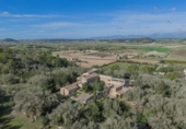 Xalet independent amb terreny en venda a la España, Sineu, ref.: TR153374 foto
