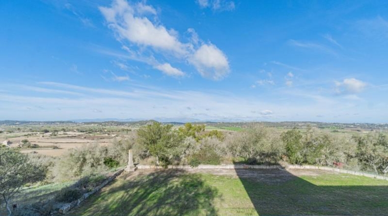Islas Baleares - Sineu - 199650m2