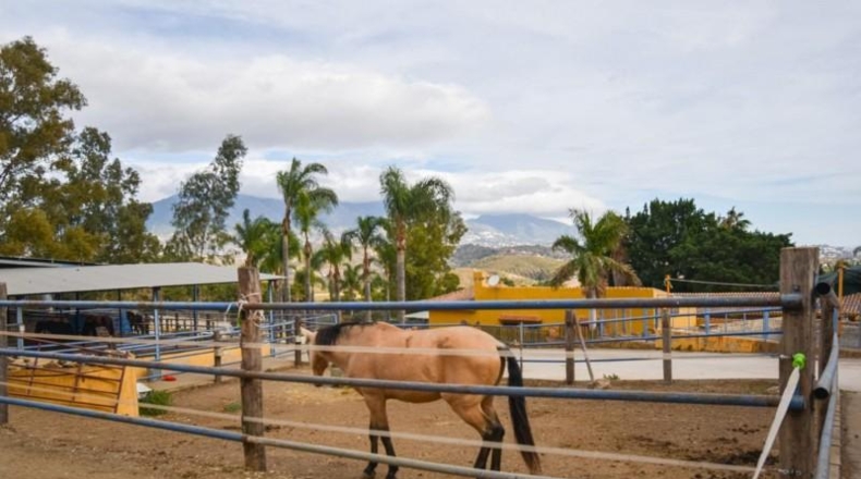 Málaga - Mijas - 100000m2