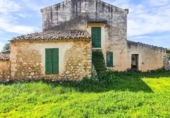 Xalet independent amb terreny en venda a la España, Sineu, ref.: TR347889 foto