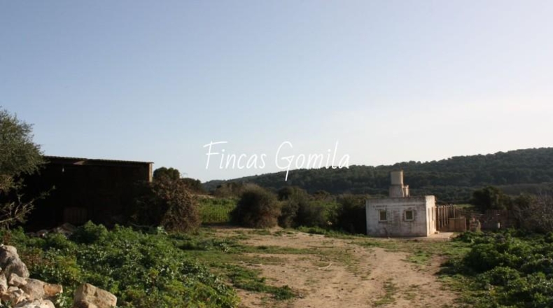 Islas Baleares - Alaior - 420000m2