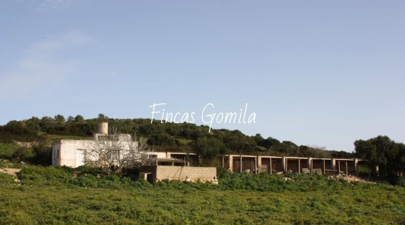 Islas Baleares - Alaior - 420000m2