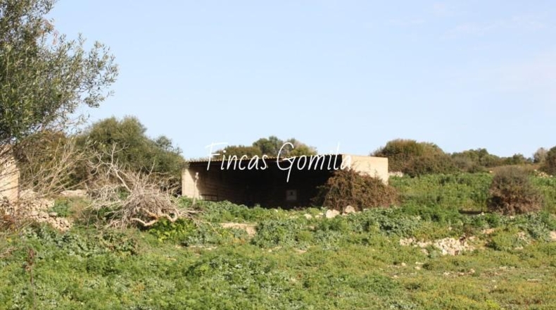 Islas Baleares - Alaior - 420000m2