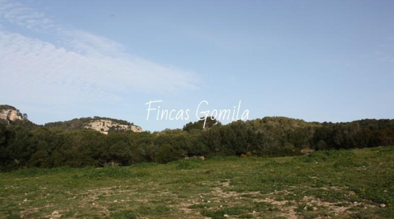 Islas Baleares - Alaior - 420000m2
