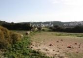 Casa de campo con terreno en venta en la España, Alaior, ref: TR143061 foto
