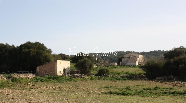 Islas Baleares - Alaior - 420000m2