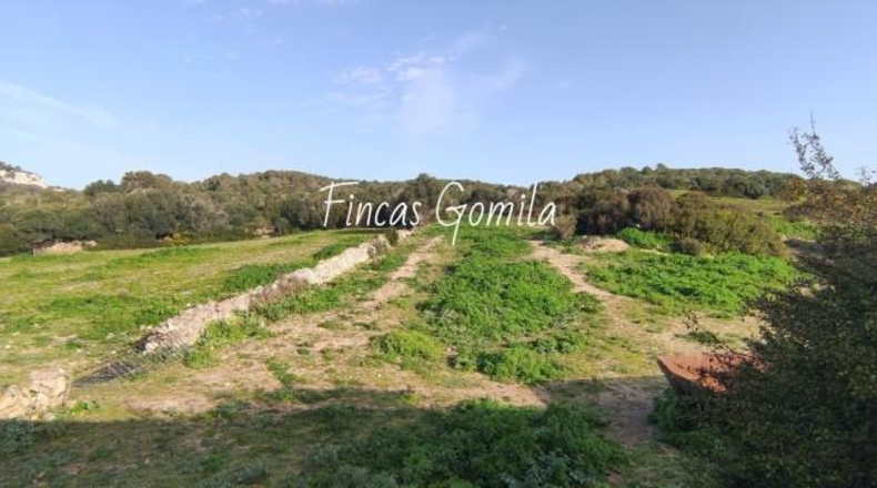 Islas Baleares - Alaior - 420000m2