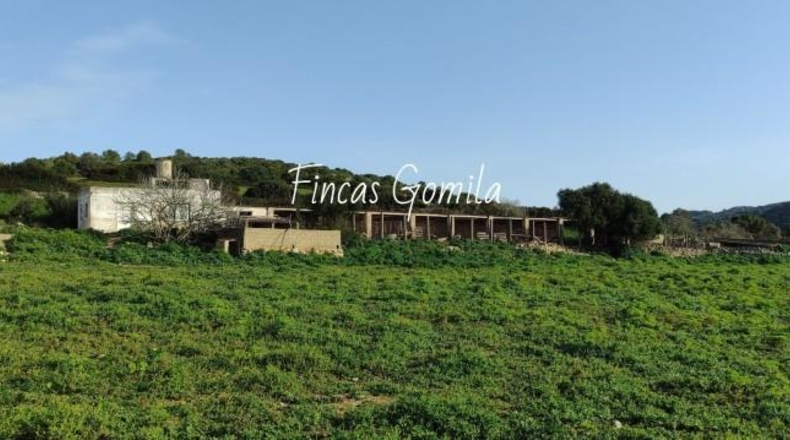Islas Baleares - Alaior - 420000m2