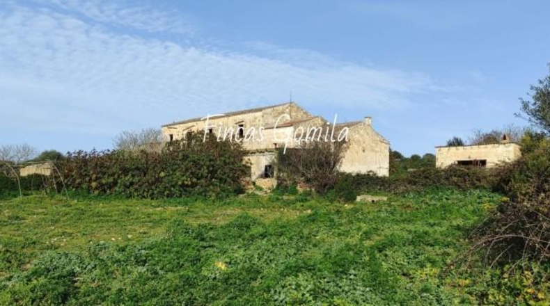 Islas Baleares - Alaior - 420000m2