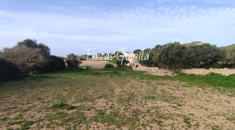Islas Baleares - Alaior - 420000m2