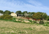 Casa de campo con terreno en venta en la España, Alaior, ref: TR143061 foto